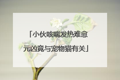 小伙咳喘发热难愈 元凶竟与宠物猫有关